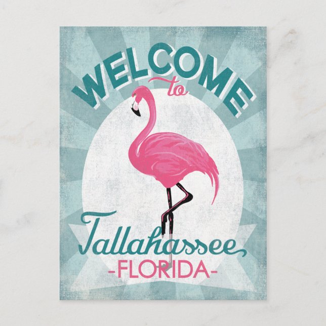 Postal Tallahassee Florida Pink Flamingo Retro (Anverso)