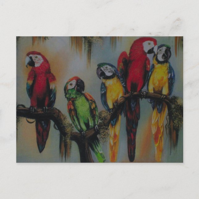 Postal Tallando loros ~ Postcard (Anverso)