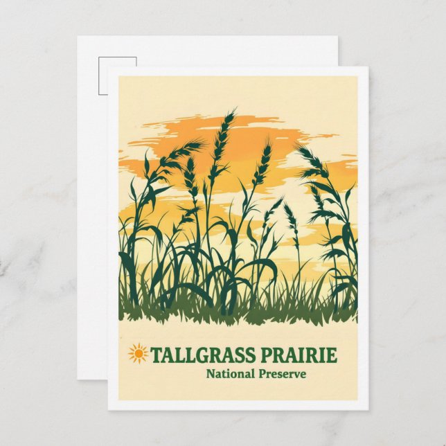 Postal Tallgrass Prairie National Preserve Kansas Travel (Anverso / Reverso)
