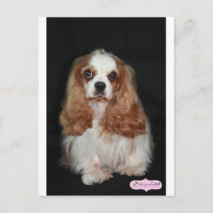 Postal Tallulah