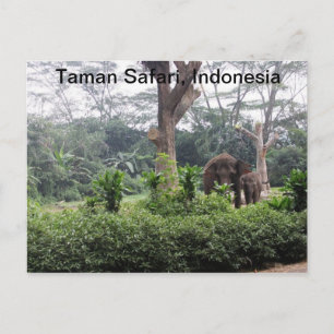 Postal Taman Safari