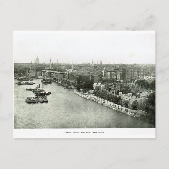 Postal Támesis del río desde el puente de la torre 1900 (Anverso)