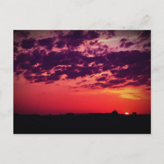 Postal Tampa Bay Sunset