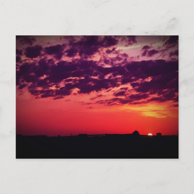 Postal Tampa Bay Sunset (Anverso)