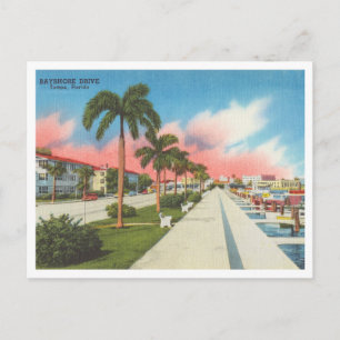 Postal Tampa, Florida antiguo Bayshore Drive y Marina
