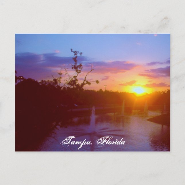 Postal Tampa la Florida (Anverso)