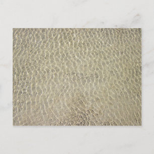 Postal Tan Crocodile Leather Pattern