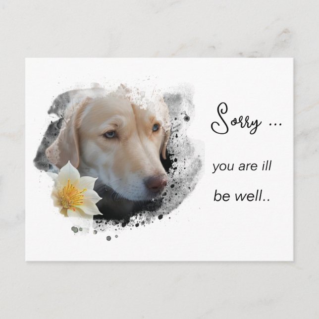 Postal *~ Tan Dog AP61 Mejora Triste Flor (Anverso)