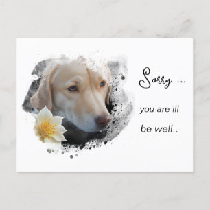 Postal *~ Tan Dog AP61 Se Entristece La Flor
