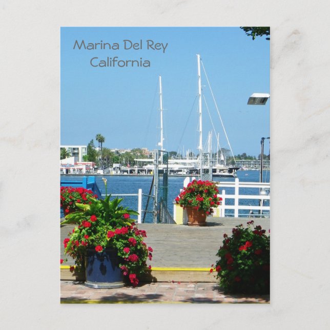 Postal ¡Tan Hermosa Marina Del Rey Postcard! (Anverso)