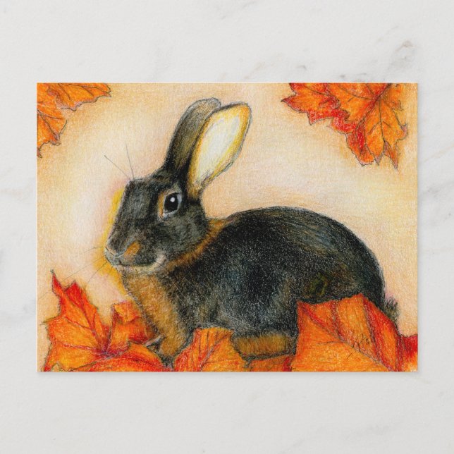 POSTAL TAN Y NEGRO (Anverso)