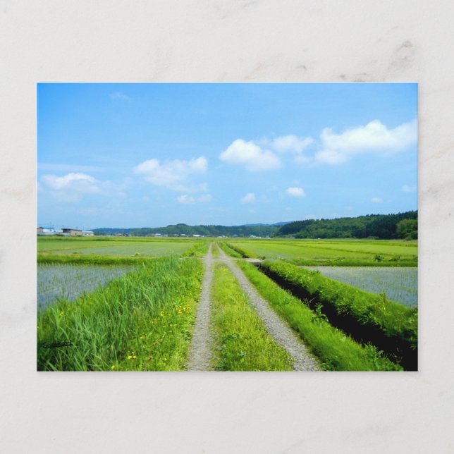 Postal Tanbo Road (Anverso)