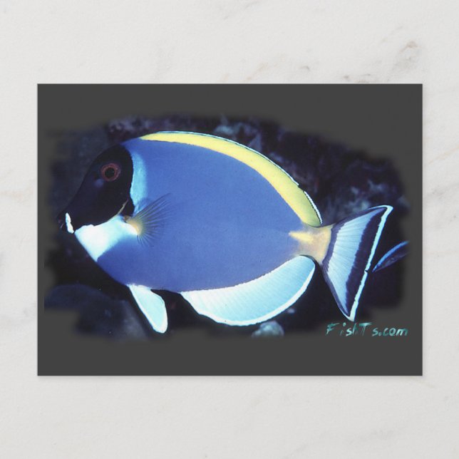 Postal Tang azul en polvo (Anverso)