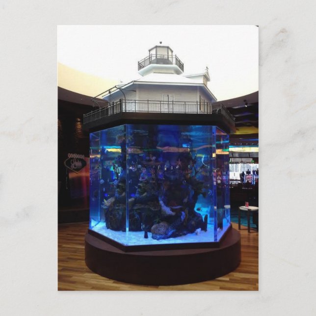 Postal Tanque de peces del faro de la bahía media (Anverso)