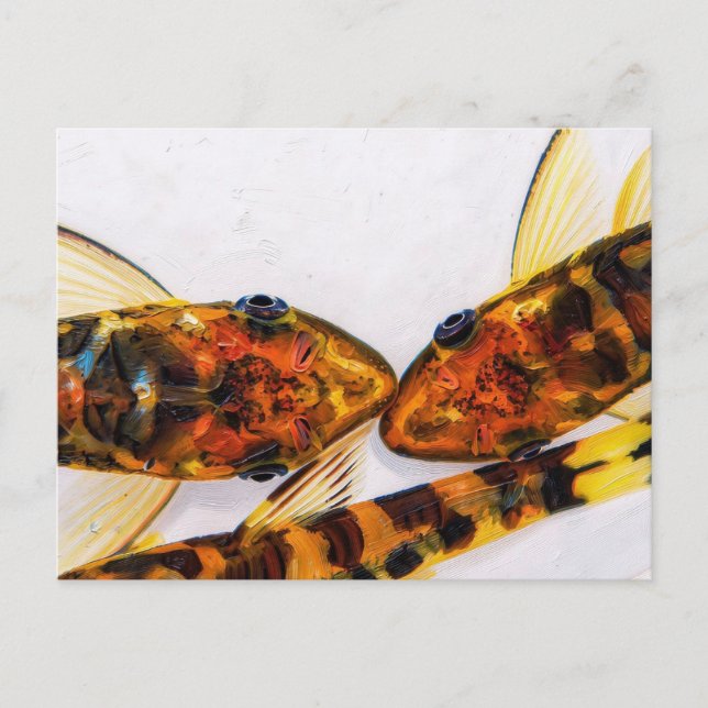 Postal tanque de peces Otocinclus cebra (Anverso)