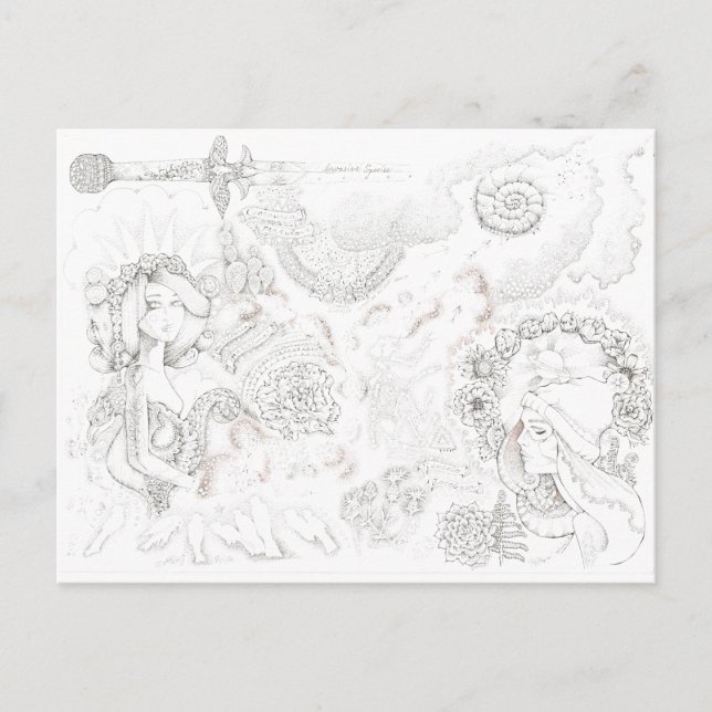 Postal tansy banditas (Anverso)