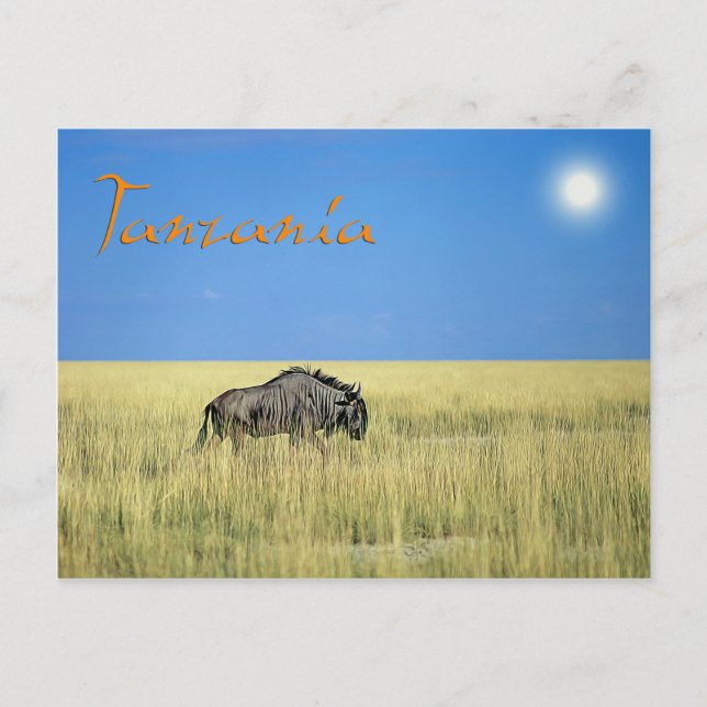 Postal Tanzania (Anverso)