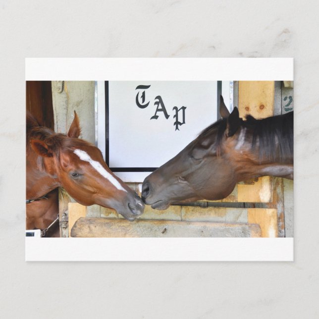 Postal Tap Me Spin Off (Anverso)