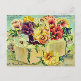 Postal Tapa del paquete de Semillas Vintage de Flores Pan