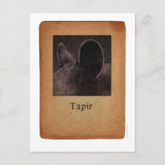 Postal Tapir