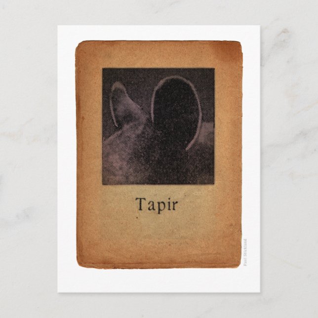 Postal Tapir (Anverso)
