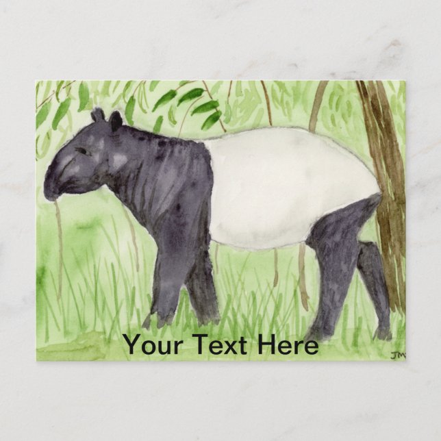 Postal Tapir (Anverso)