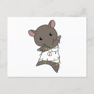 Postal Tapir Navidades Tapire Winter Animals