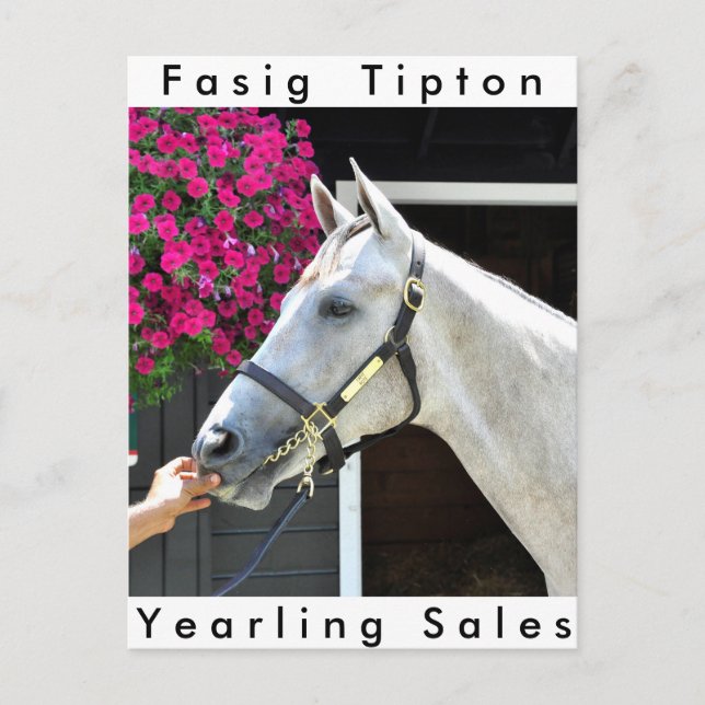 Postal Tapit-Rote Hip no.140 (Anverso)