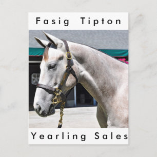 Postal Tapit-Rote Hip no.140