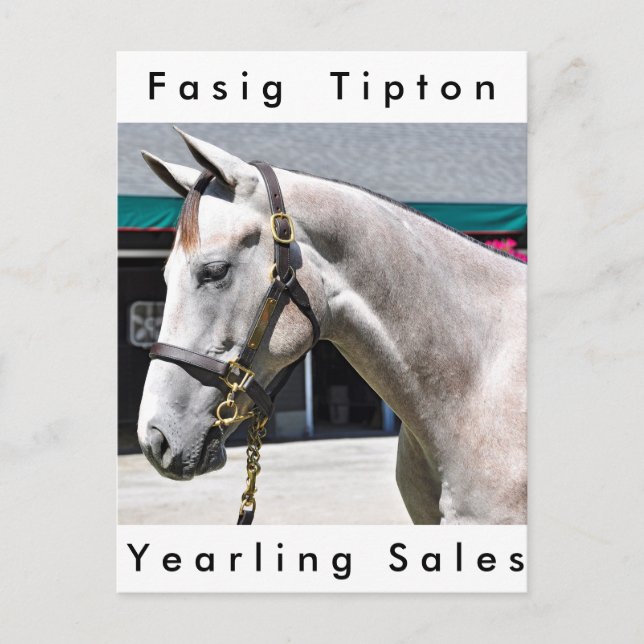 Postal Tapit-Rote Hip no.140 (Anverso)