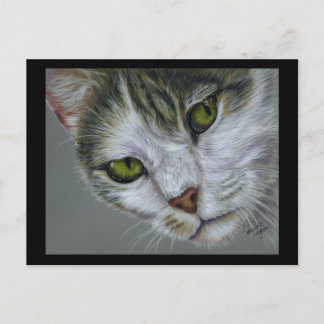 Postal Tara - Arte de gato