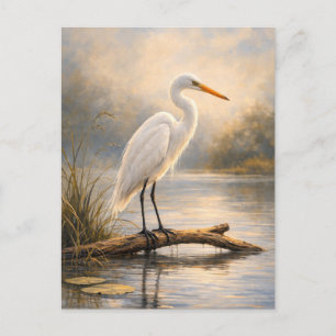 Postal Tarabilla Norteña Vida Silvestre Costera Tarje