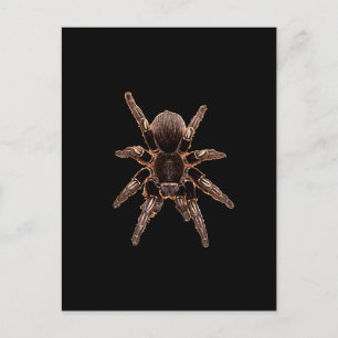 Postal Tarantula