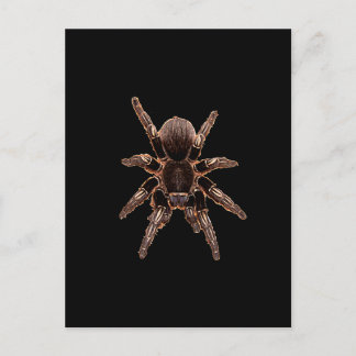 Postal Tarantula