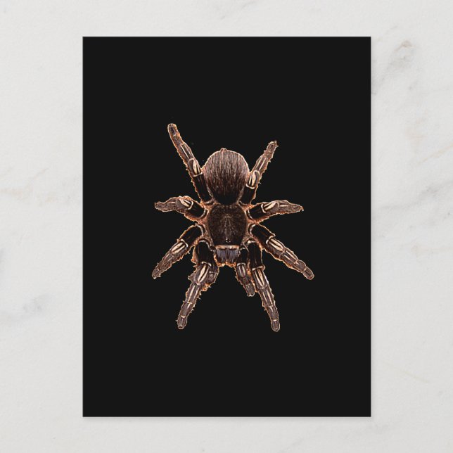 Postal Tarantula (Anverso)