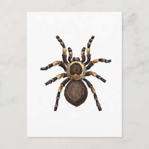 Postal Tarantula