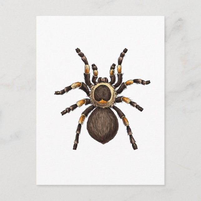 Postal Tarantula (Anverso)