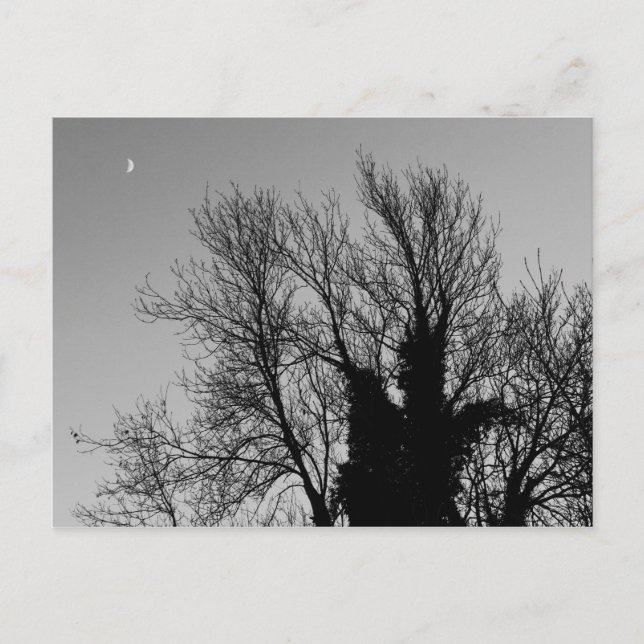 Postal Tarde de invierno medieval (Anverso)