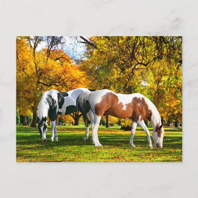 Postal "Tarde de otoño" (Anverso)