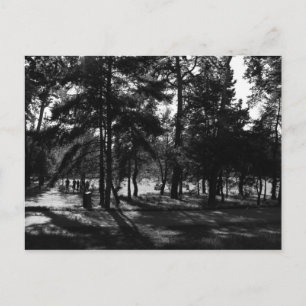 Postal Tarde en el Parque