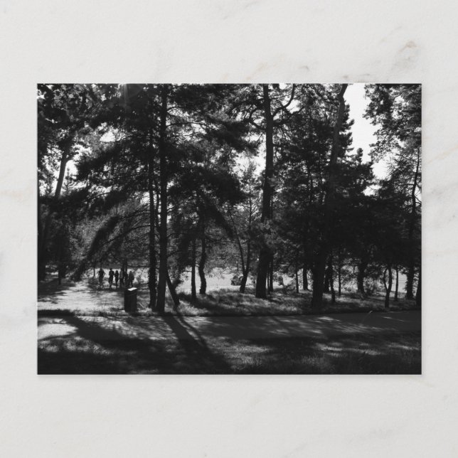 Postal Tarde en el Parque (Anverso)