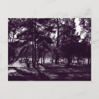Postal Tarde en el Parque (Púrpura Toned BW)