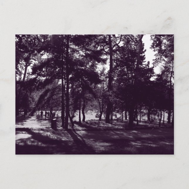 Postal Tarde en el Parque (Púrpura Toned BW) (Anverso)