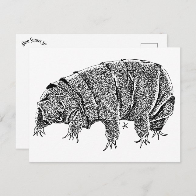 Postal Tardigrado (Anverso / Reverso)