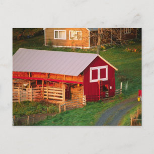 Postal Tareas matutinas en la granja. EE. UU., Vermont,