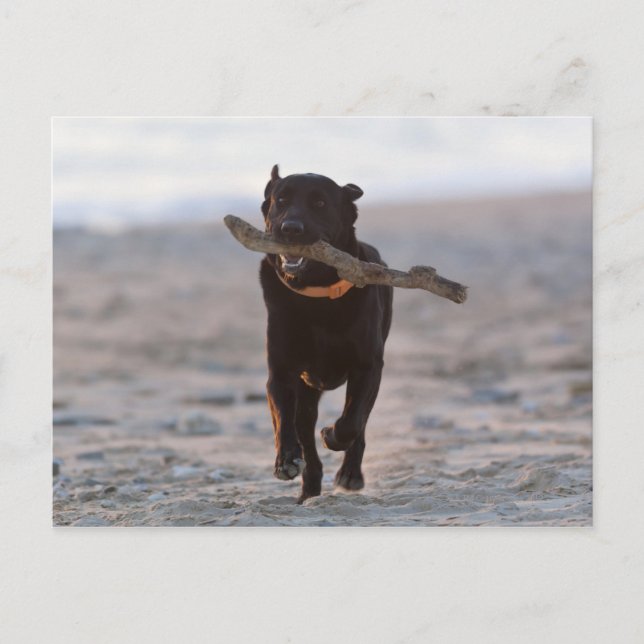 Postal tarifa, cadiz, españa (Anverso)