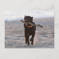 tarifa, cadiz, españa