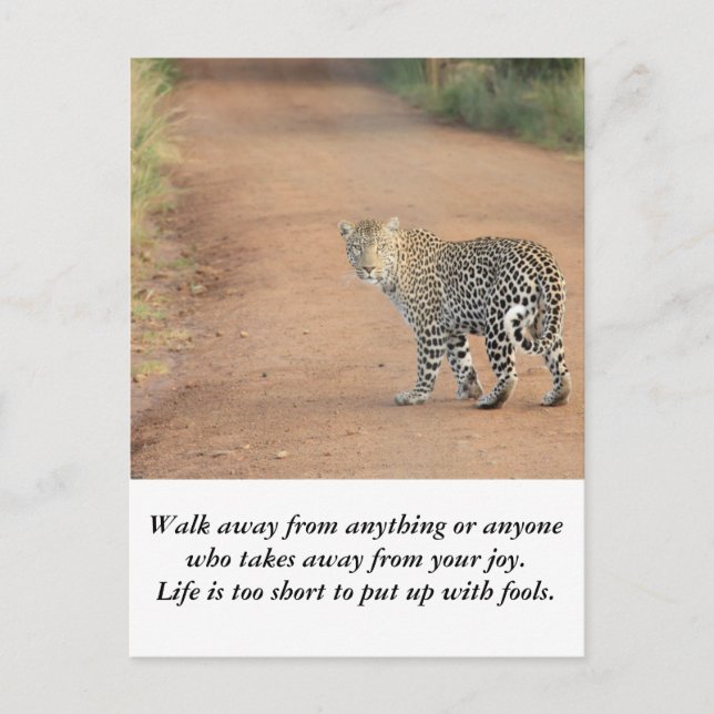 Postal Tarjeta: la vida es demasiado corta (Anverso)