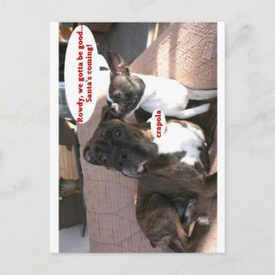 Postal Tarjetas: Crapola