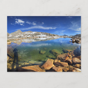 Postal Tarn de oso negro - Sierra